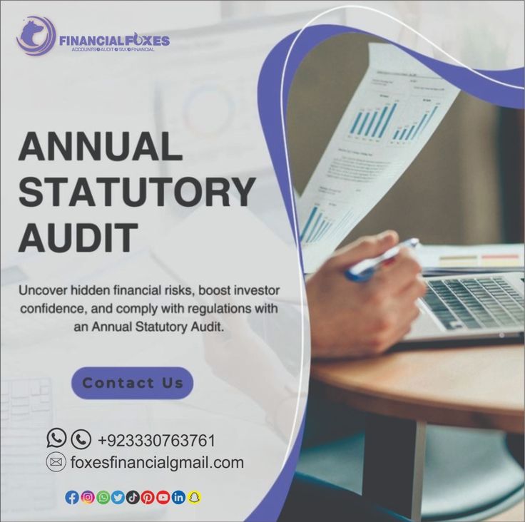 Auditor Keuangan