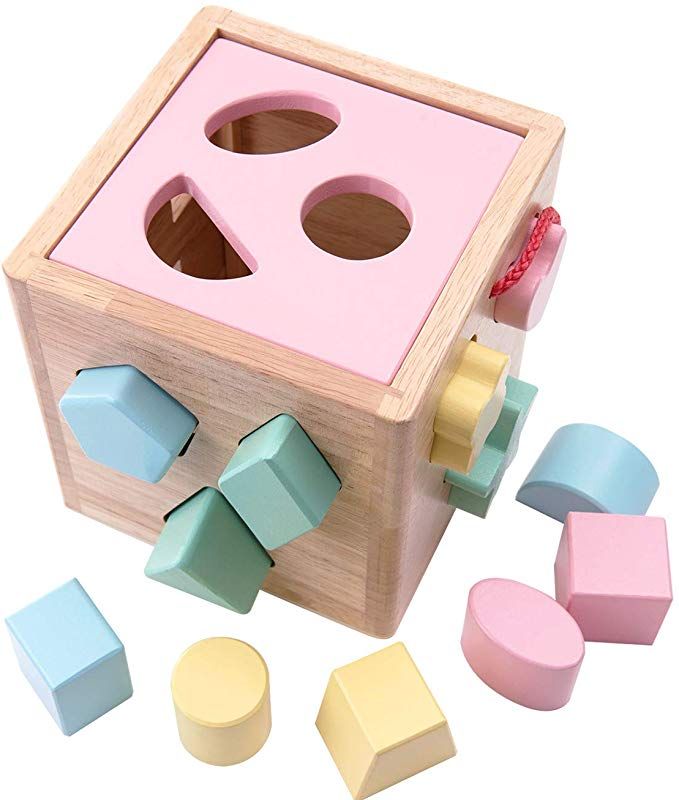 Shape Sorter Wooden Toy