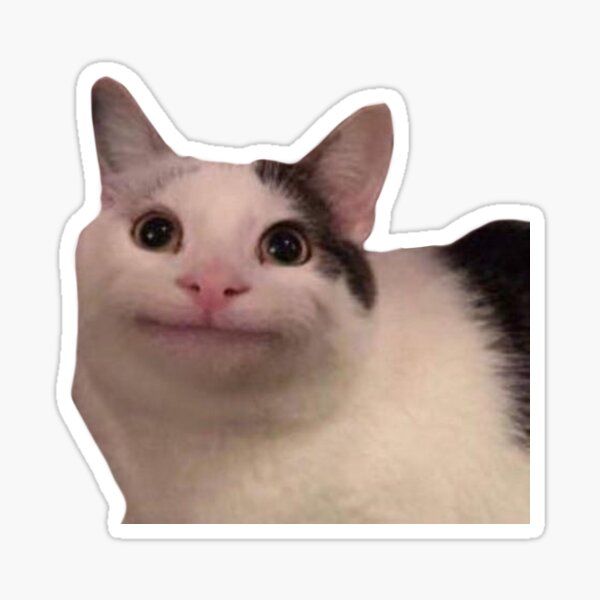 25/01/_Wholesome-Cat-Smiling-Cute-Meme_-Sticker-for-Sale-by-DefinitionDump-1736503823.jpeg